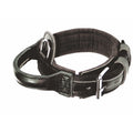 Dingo Gear – DRAGO лентов нашийник с дръжка, черен цвят