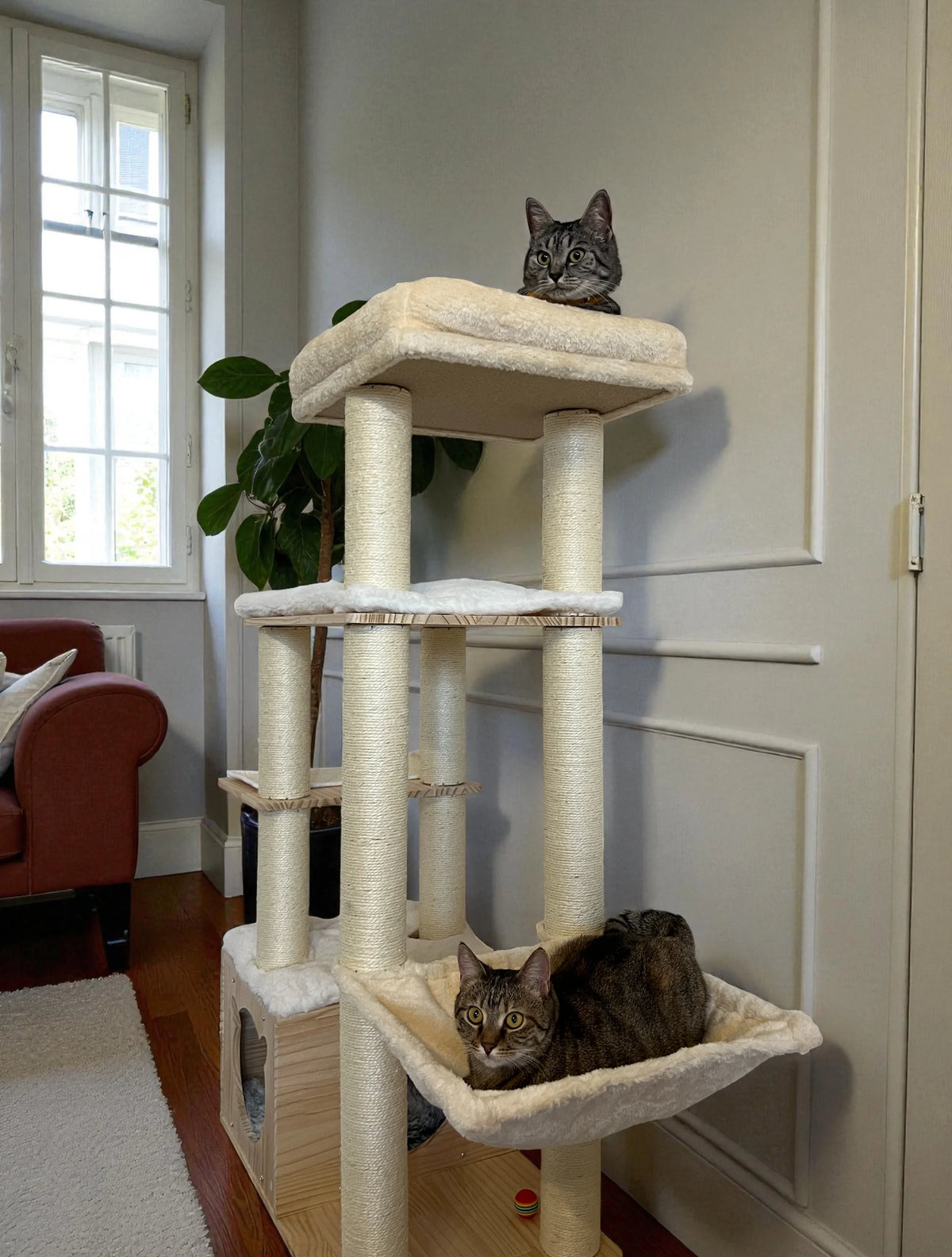 Котешка катерушка NORDIC PINE