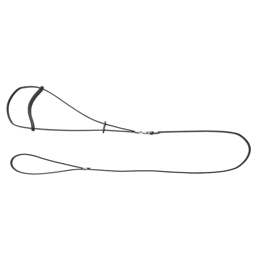 Пръстен за кучета