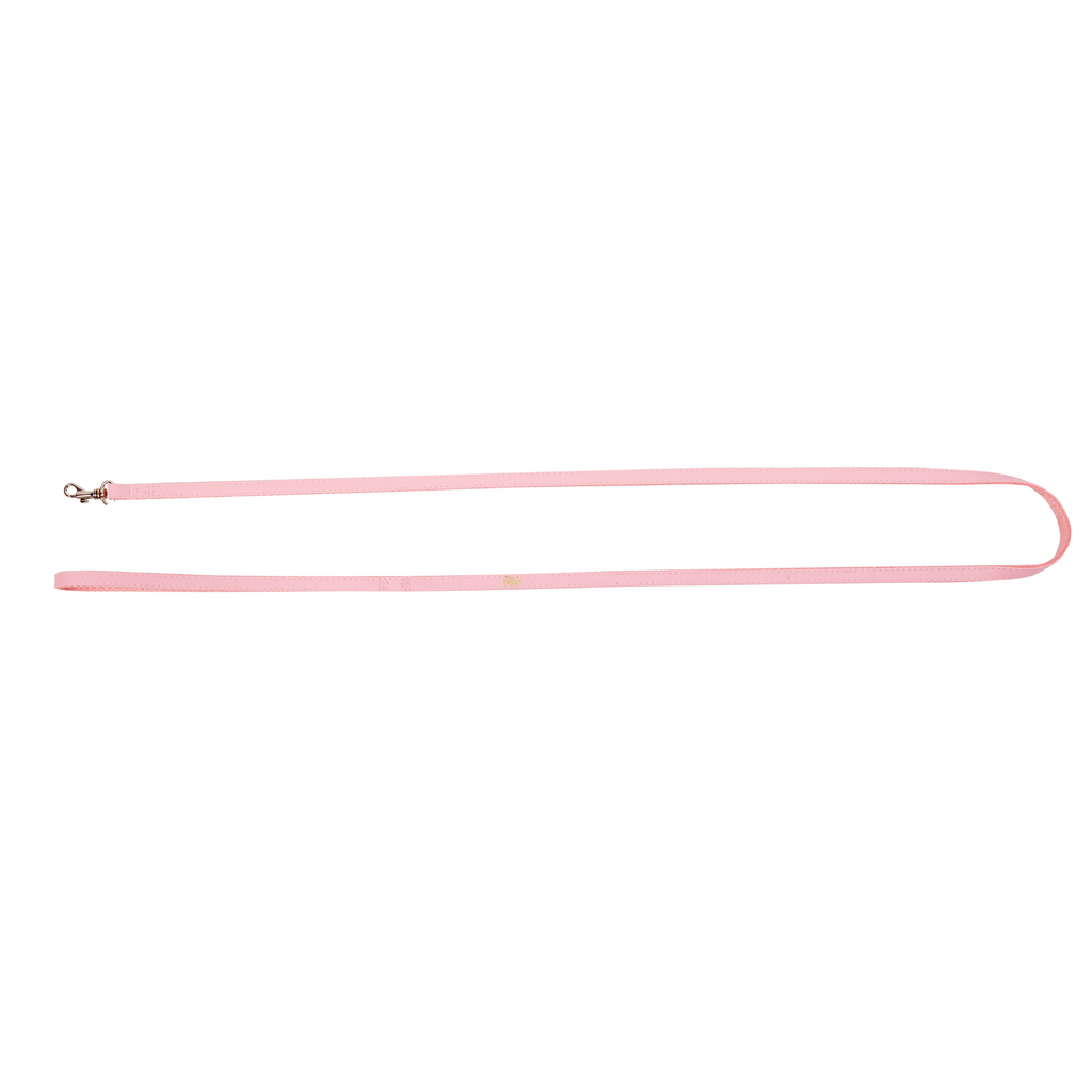 Основна каишка за кучета