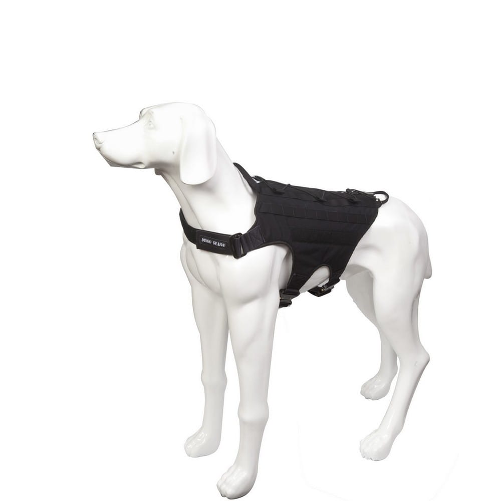 Dingo Gear – тактически нагръдник за кучета със система MOLLE