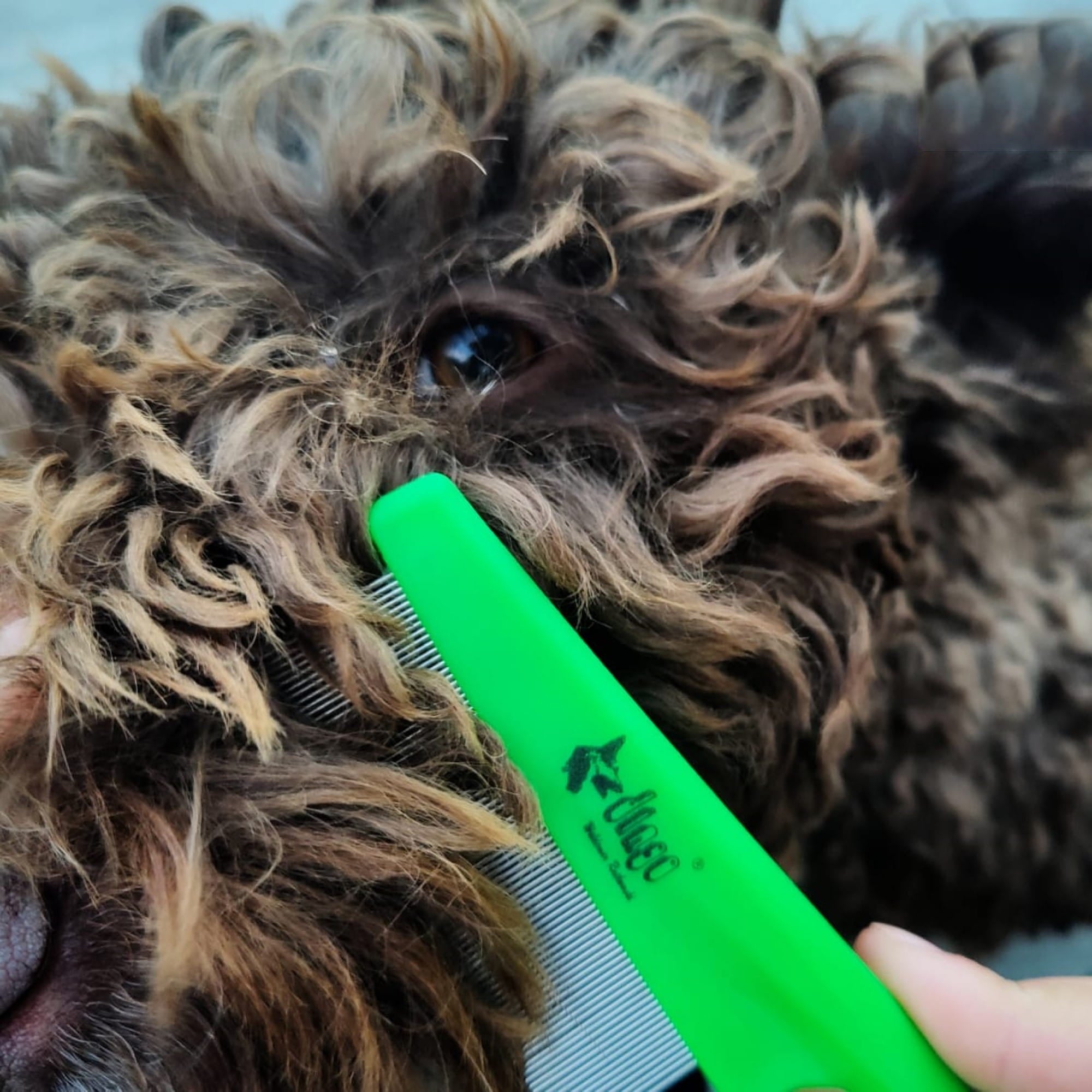 Антипаразитен гребен