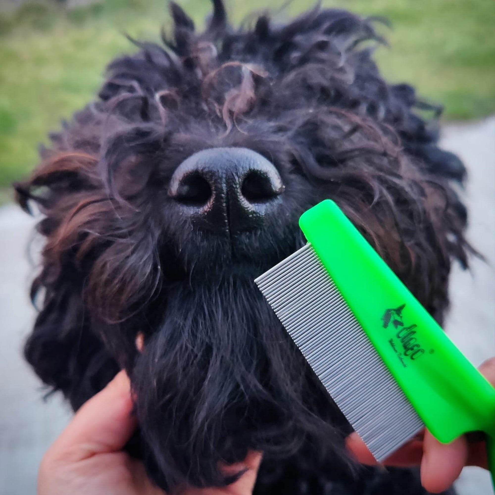 Антипаразитен гребен