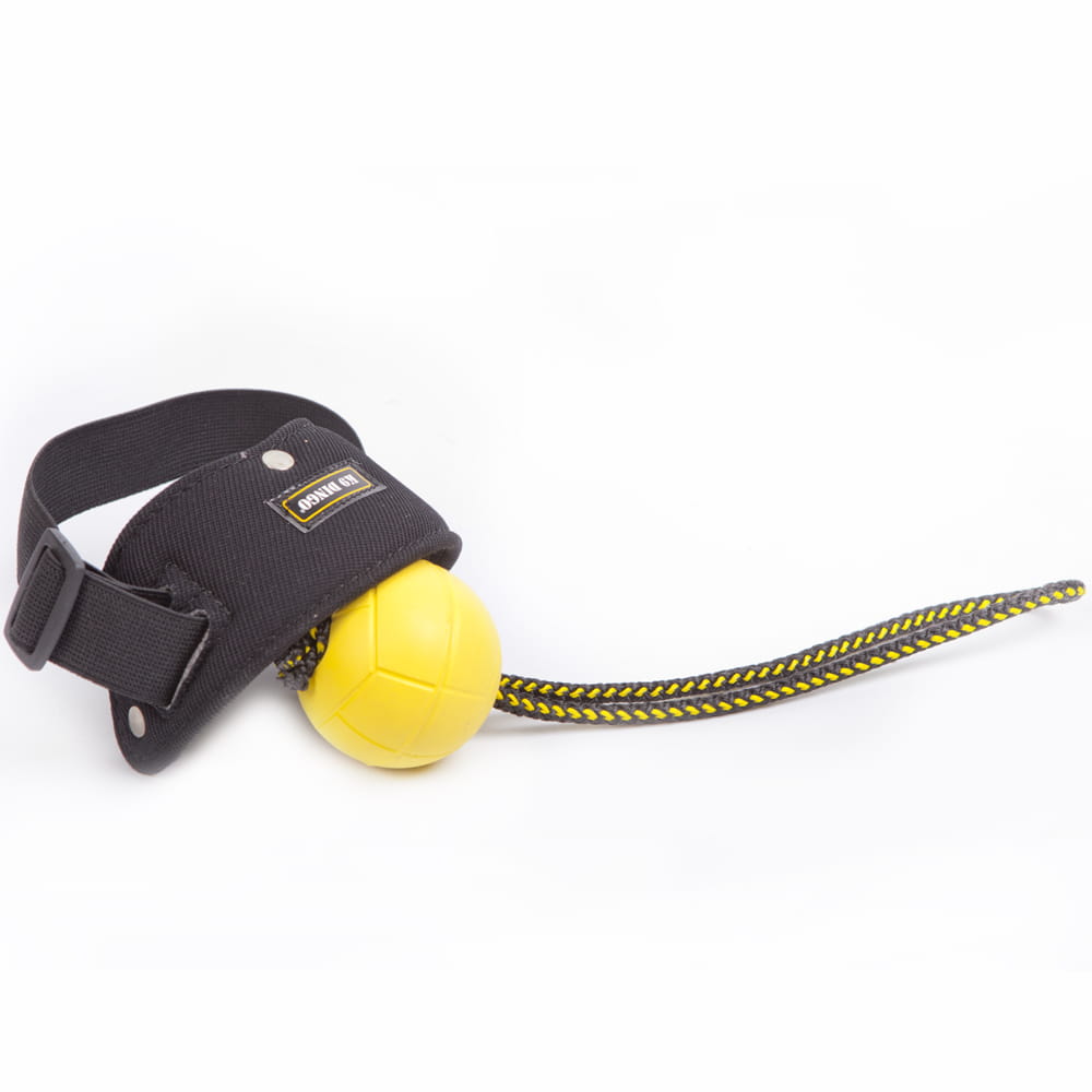 Dingo Gear – Изстрелвател на топки за диригент