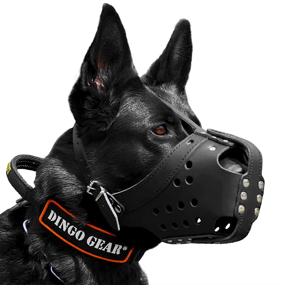 Dingo Gear – Кожен намордник за бой и тренировки – издръжливост, комфорт, пълна функционалност