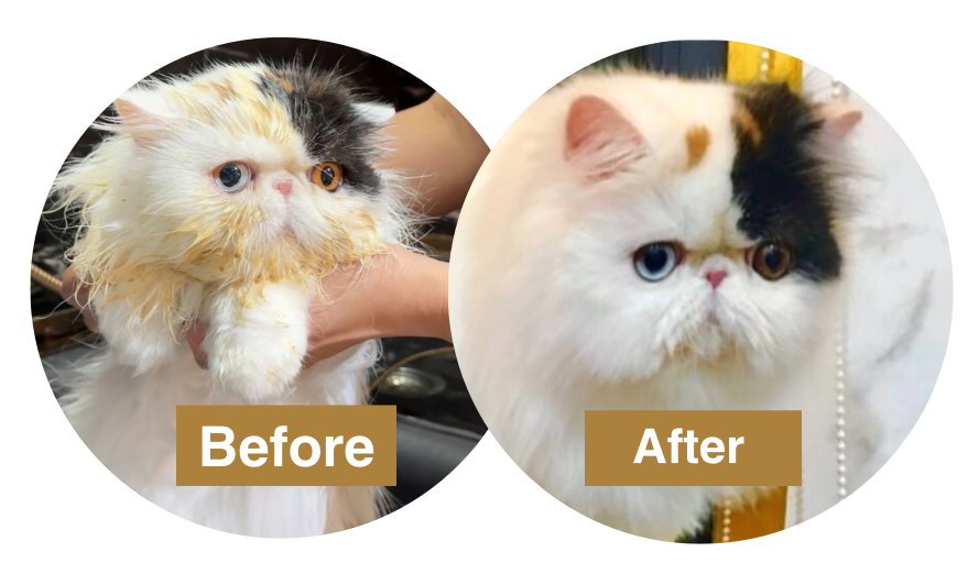 PinkPawPal De-Greasing – обезмасляващ крем за дълбоко почистване на козината