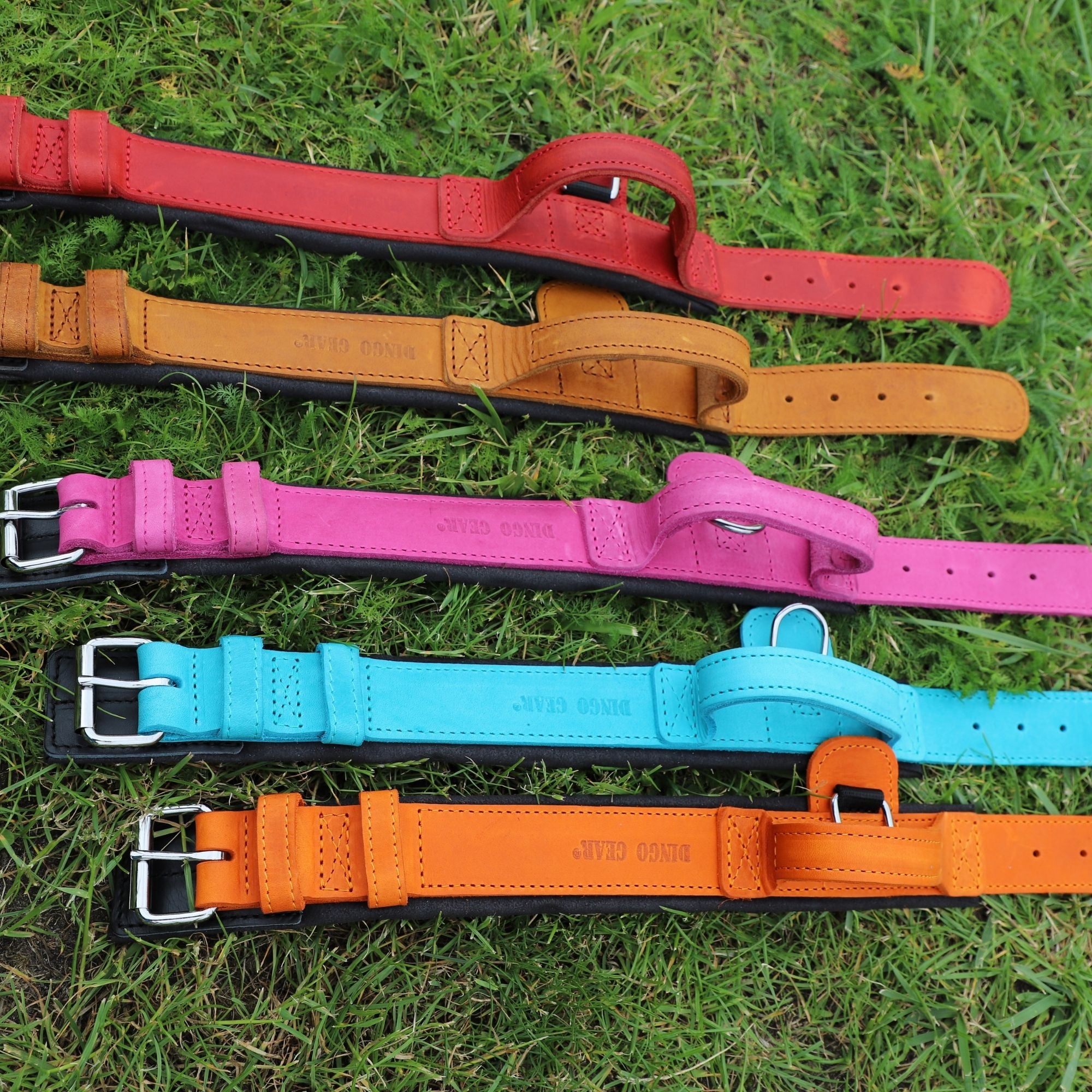 Dingo Gear – Нашийник DRAGO – кожена прецизност в служба на професионалното обучение