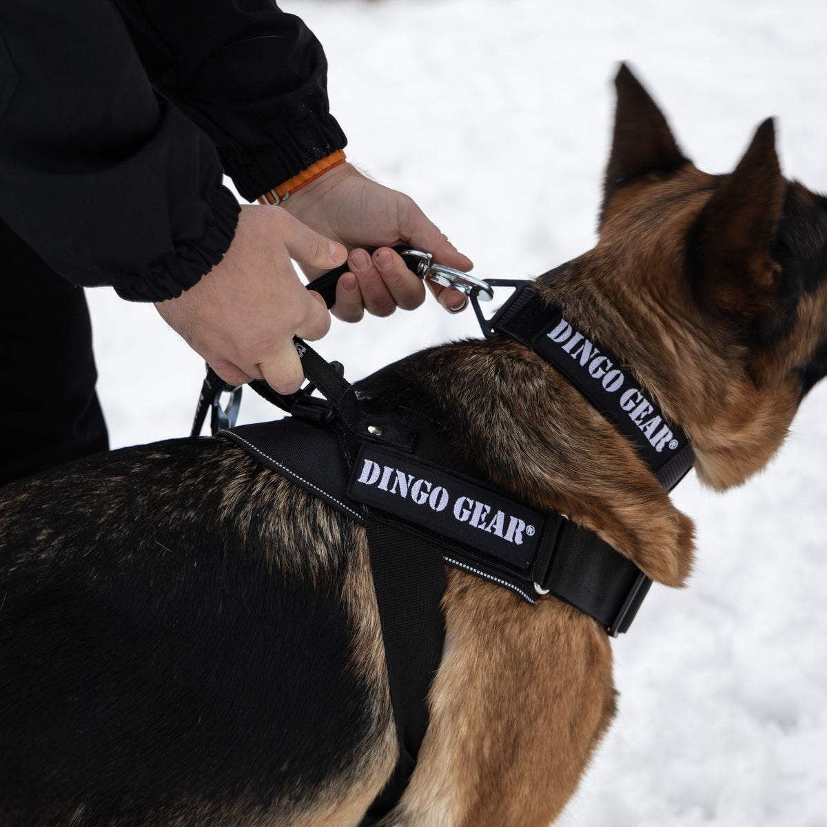Dingo Gear – работен колан със система COBRA