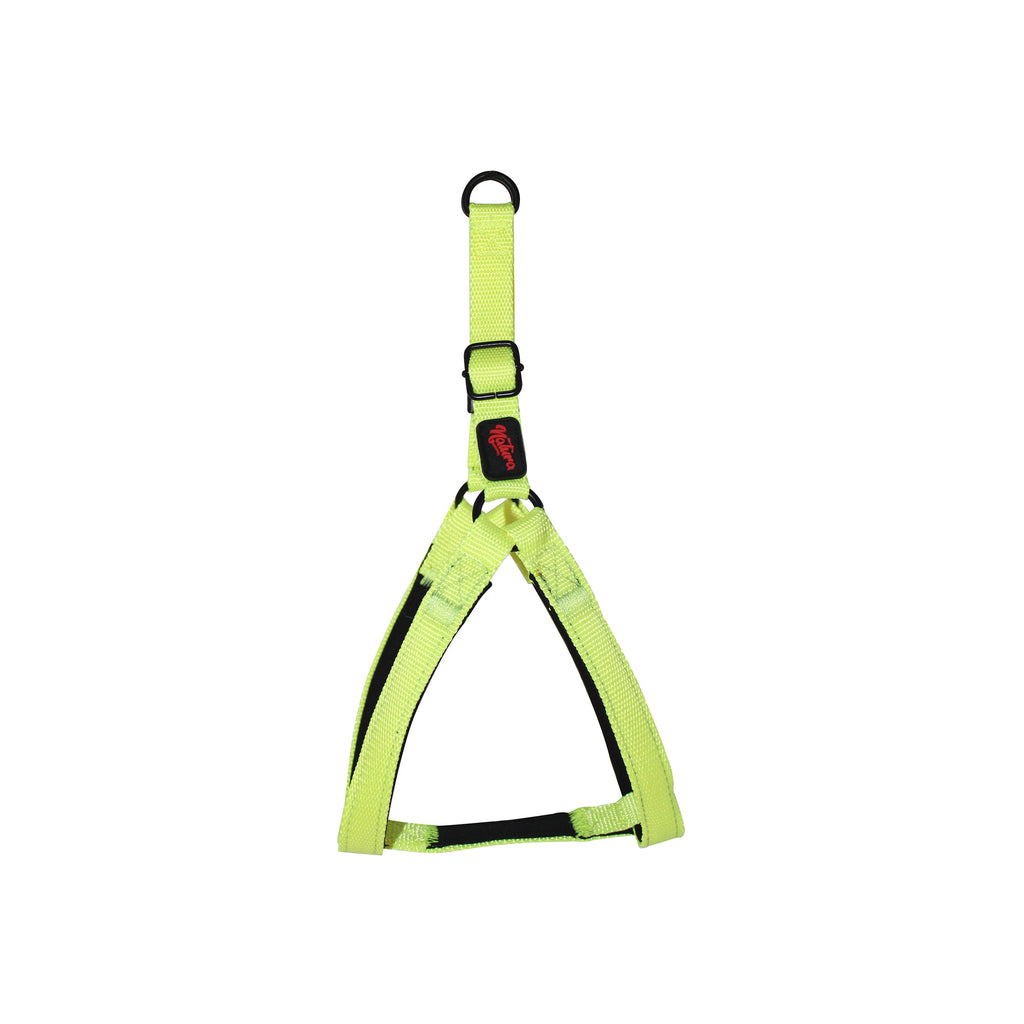 Natura Basic Harness
