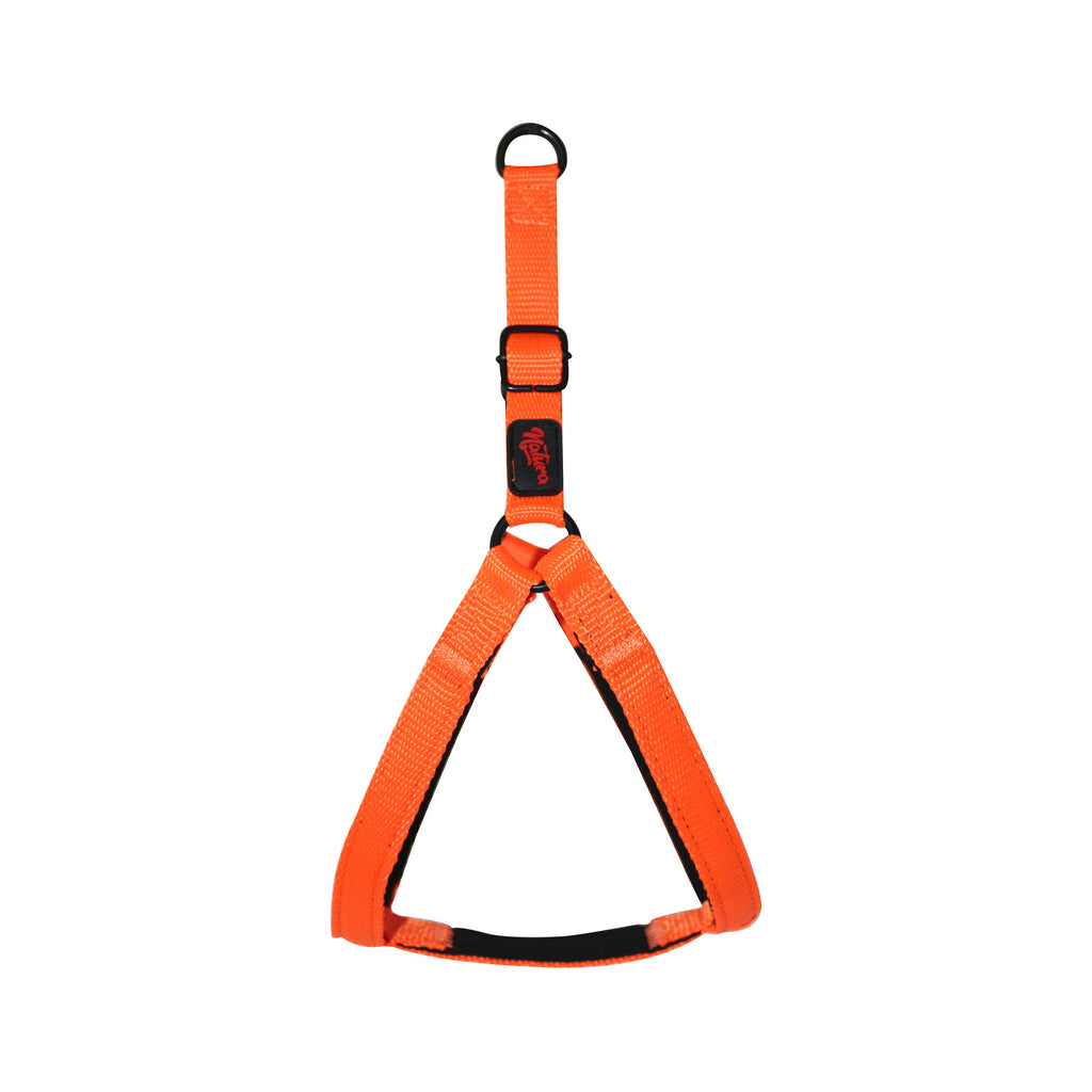 Natura Basic Harness