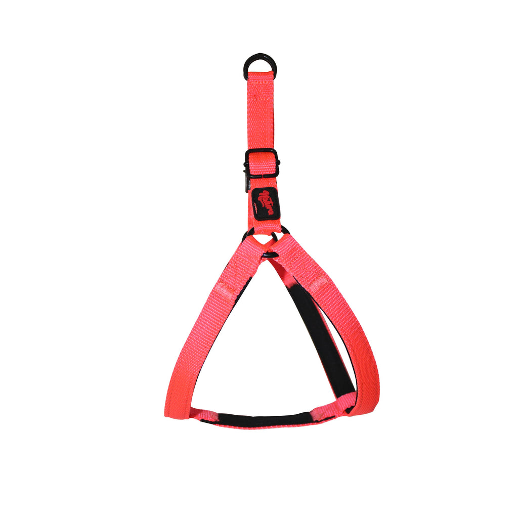 Natura Basic Harness