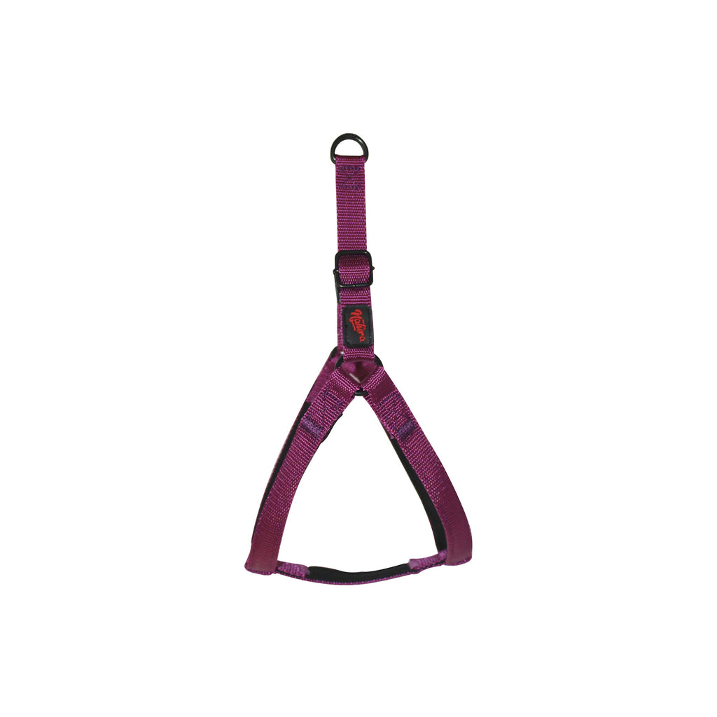Natura Basic Harness